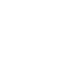 Salis